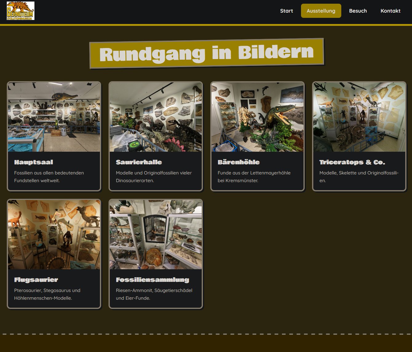 Homepage Starter-Paket – Kunden-Website Beispiel
